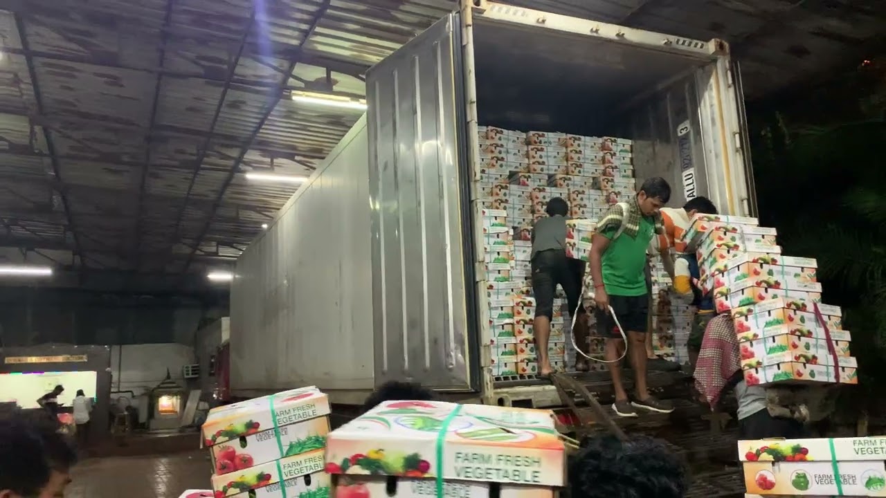 Container loading operations for agricultural exports